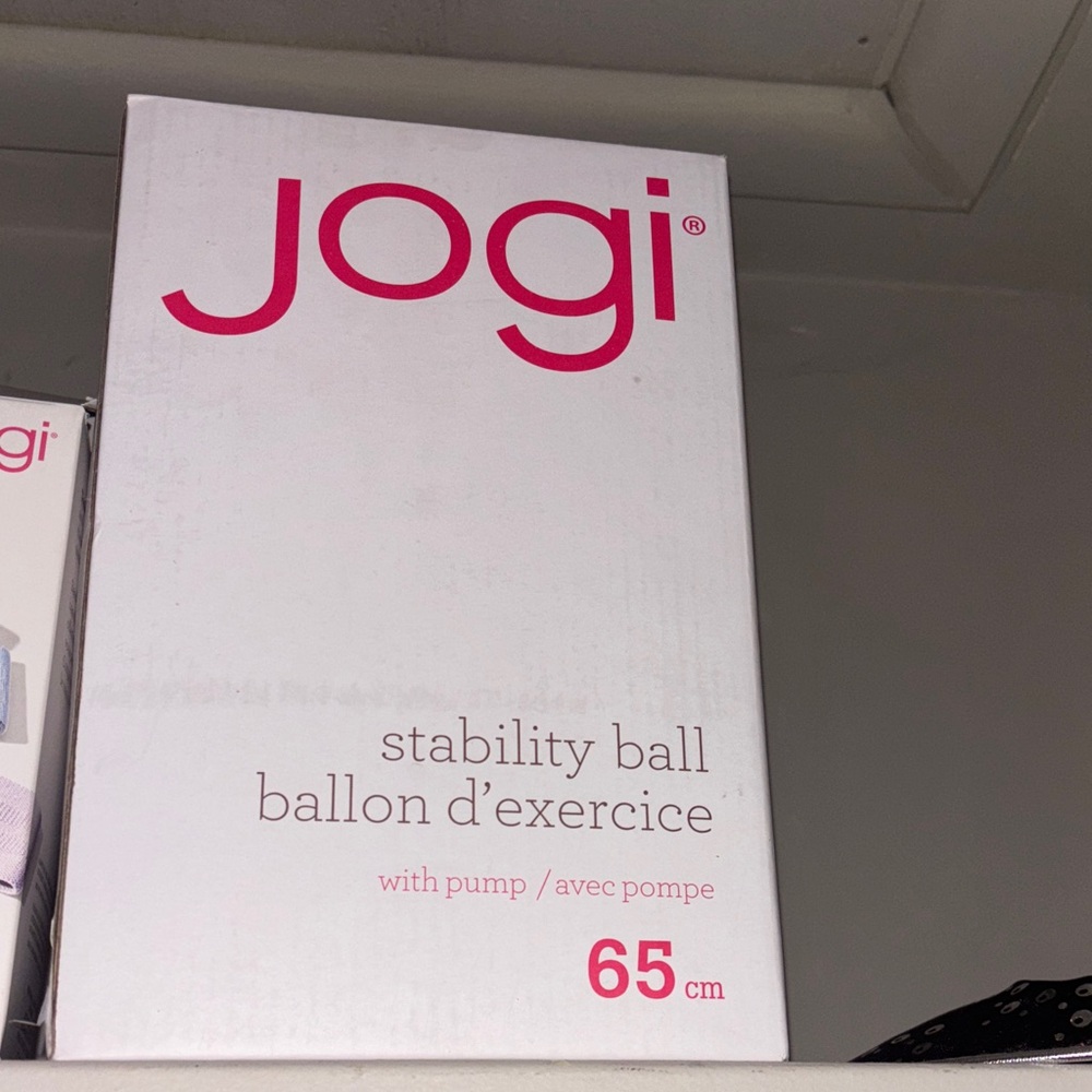 Exercise/Stability Ball with Pump